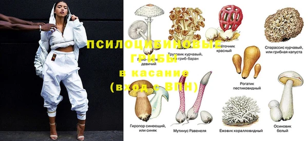 MESCALINE Михайловск