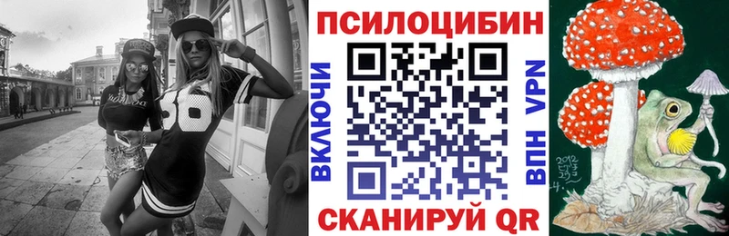 МЕГА   Свирск  Галлюциногенные грибы Psilocybe  купить закладку 